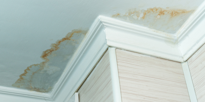 6 Telltale Signs That Roof Repair Is Needed
